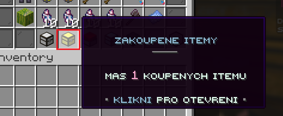 potvrzeni1
